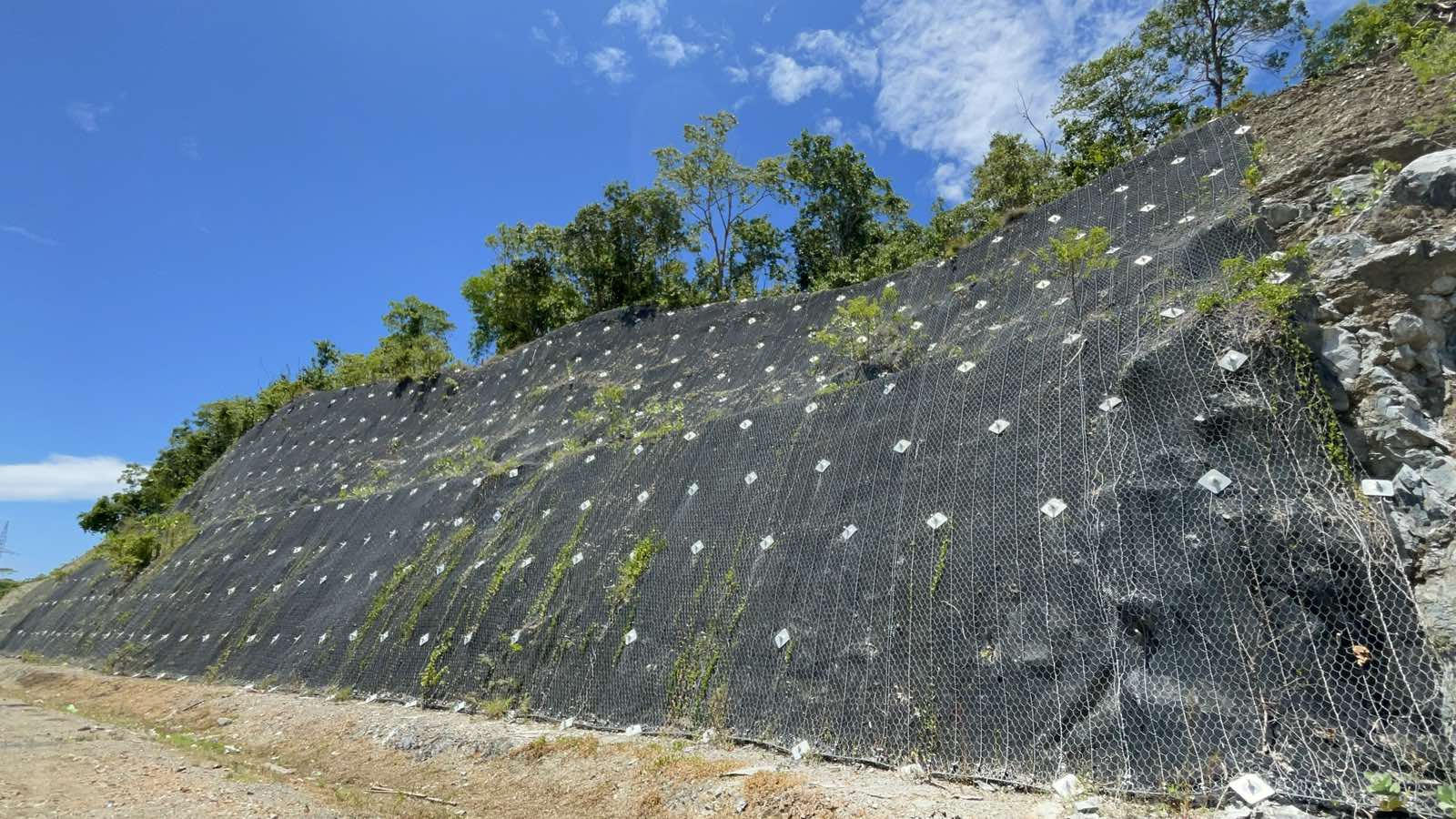 Securing Roads and Slopes: Active Rockfall Protection System in Narra, Palawan
