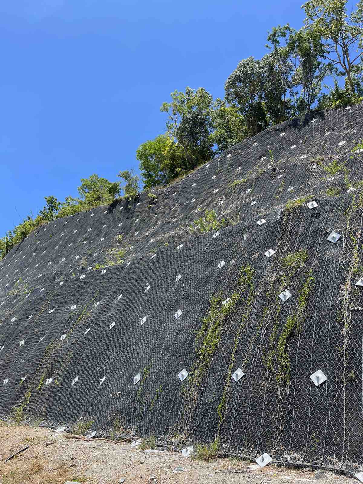 Active Rockfall Protection System in Narra, Palawan