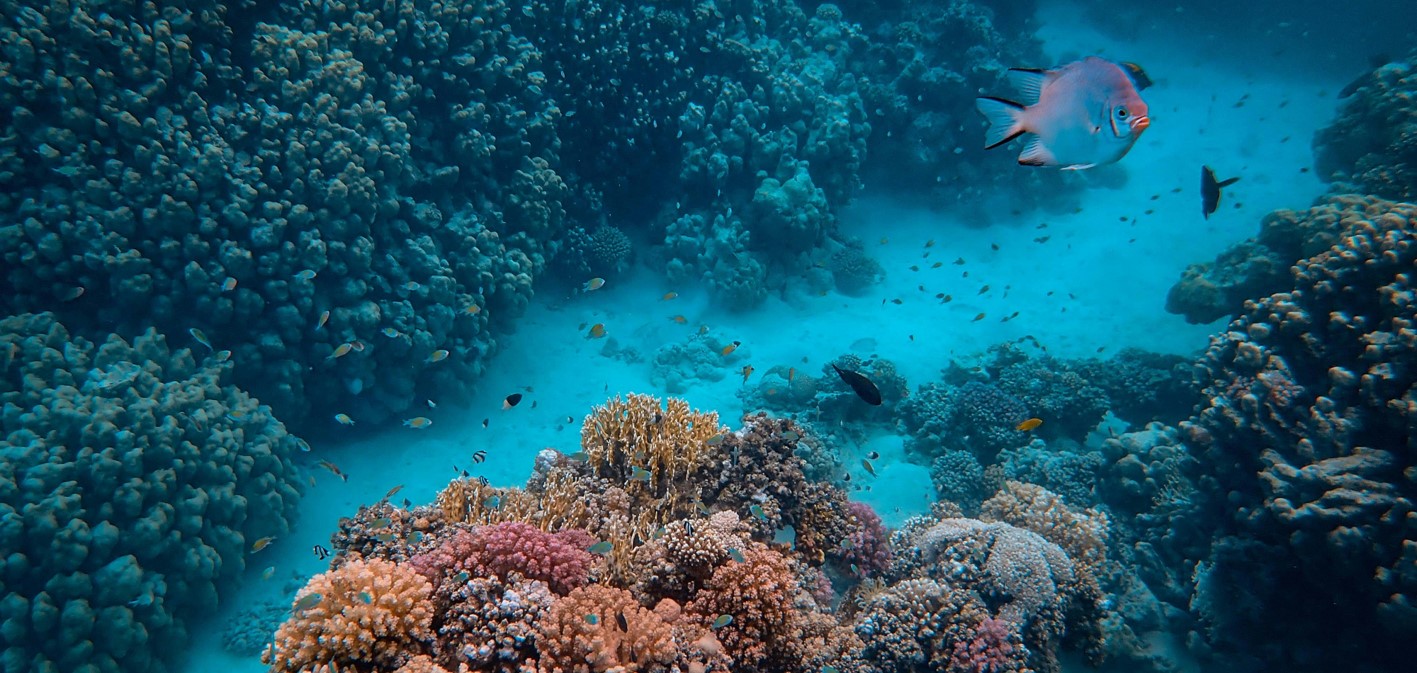https://www.maccaferri.com/ph/wp-content/uploads/2025/06/Marine-webinar-header.jpg