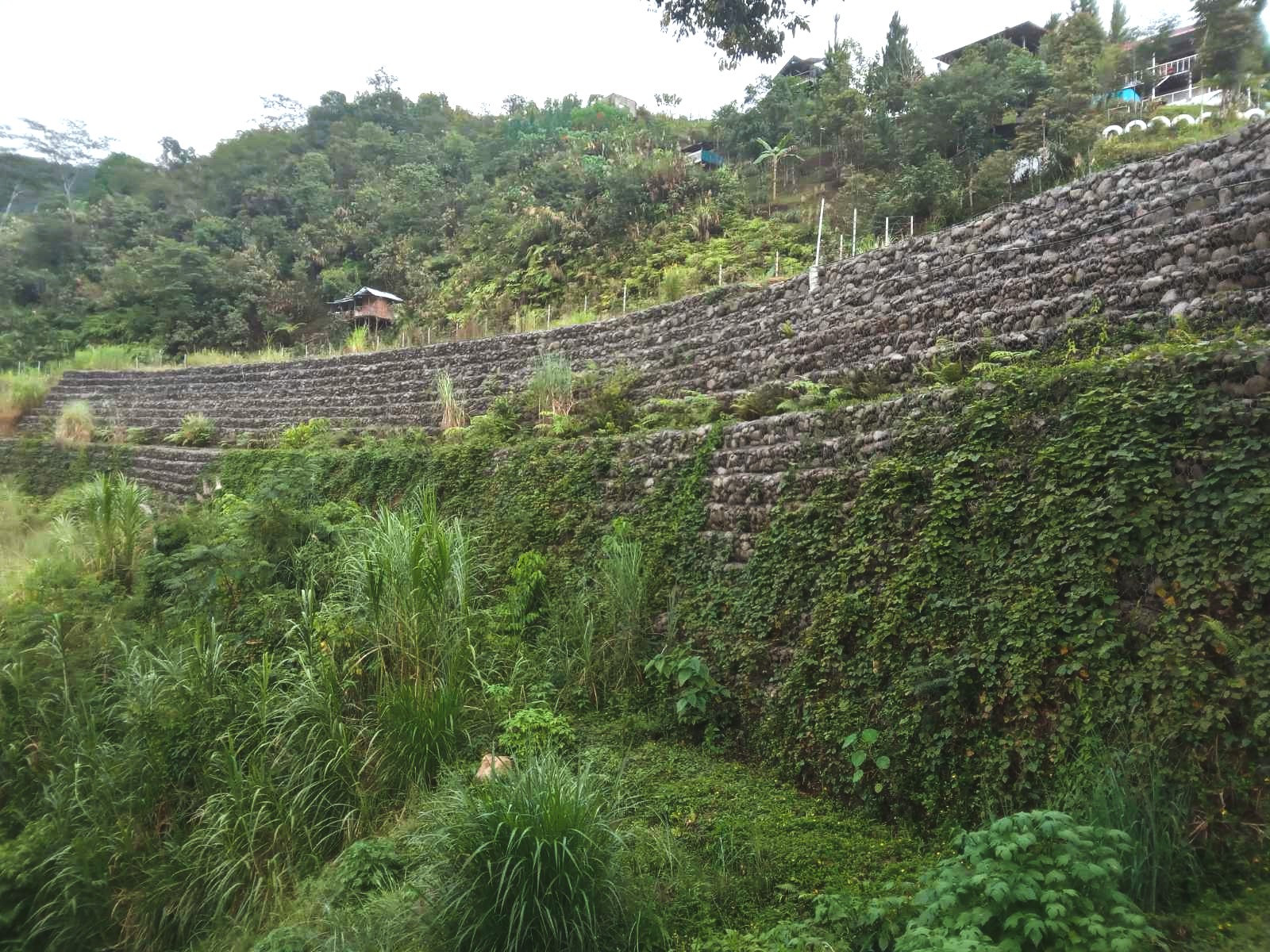 Reinforced Slope Protection for Road Widening in Claveria, Misamis Oriental