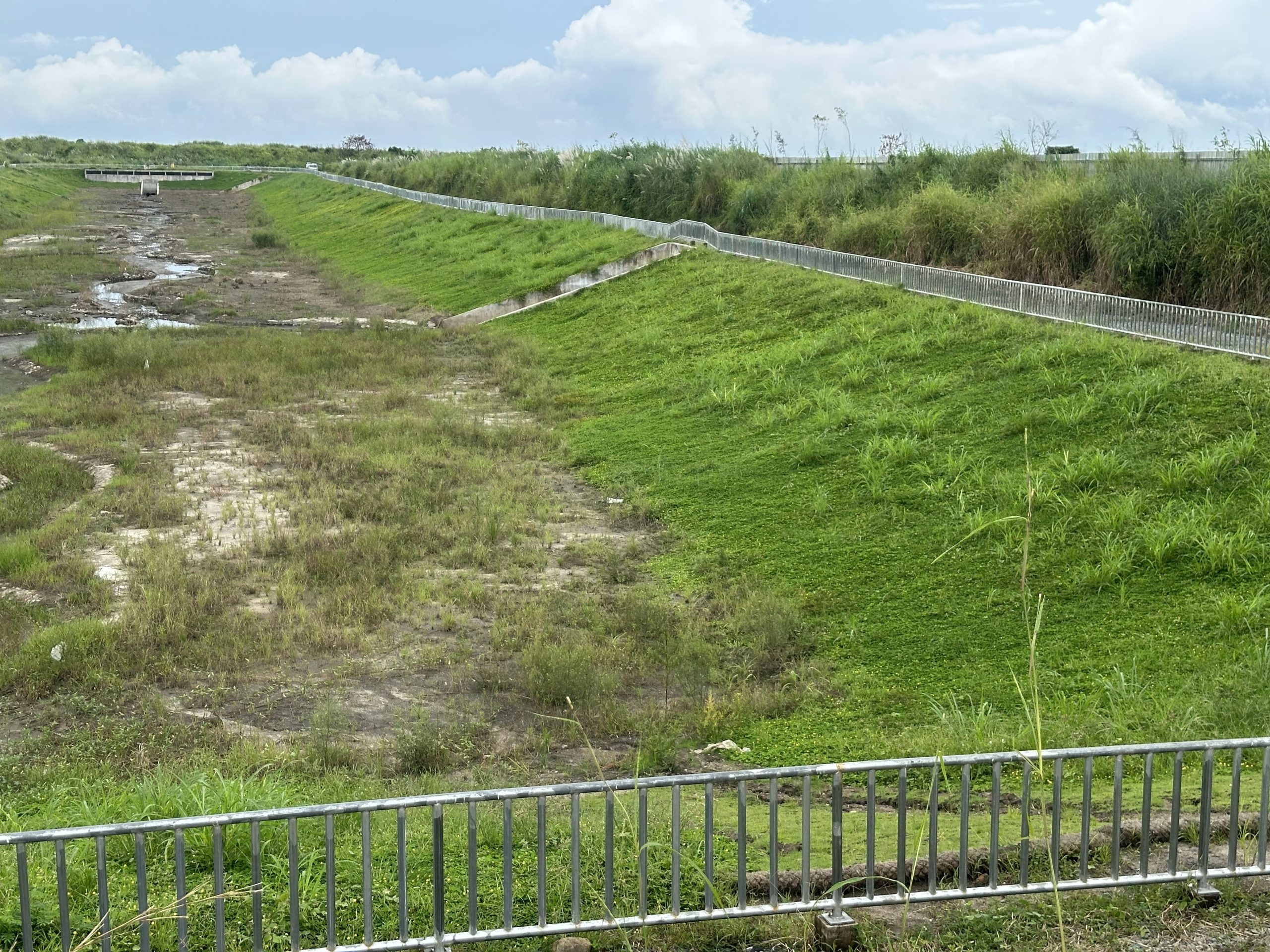 Smart Stormwater Solutions for Ayala Alviera, Pampanga