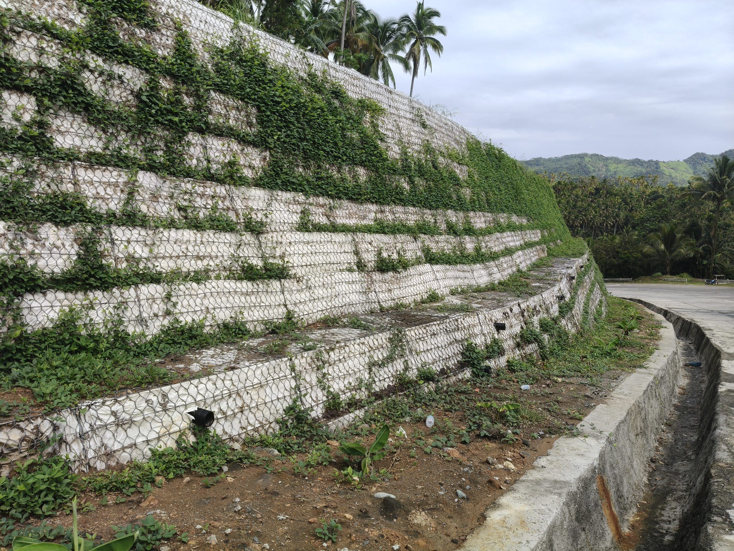 Slope Protection for Surigao del Sur Boundary – Davao Oriental Coastal Road