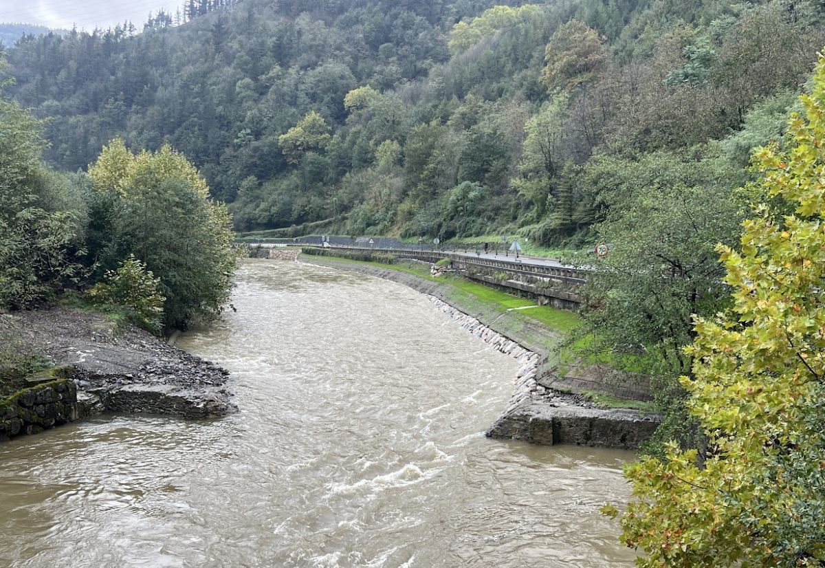 RESTAURACIÓN FLUVIAL Y PROTECCIÓN LONGITUDINAL EN EL RÍO ORIA
