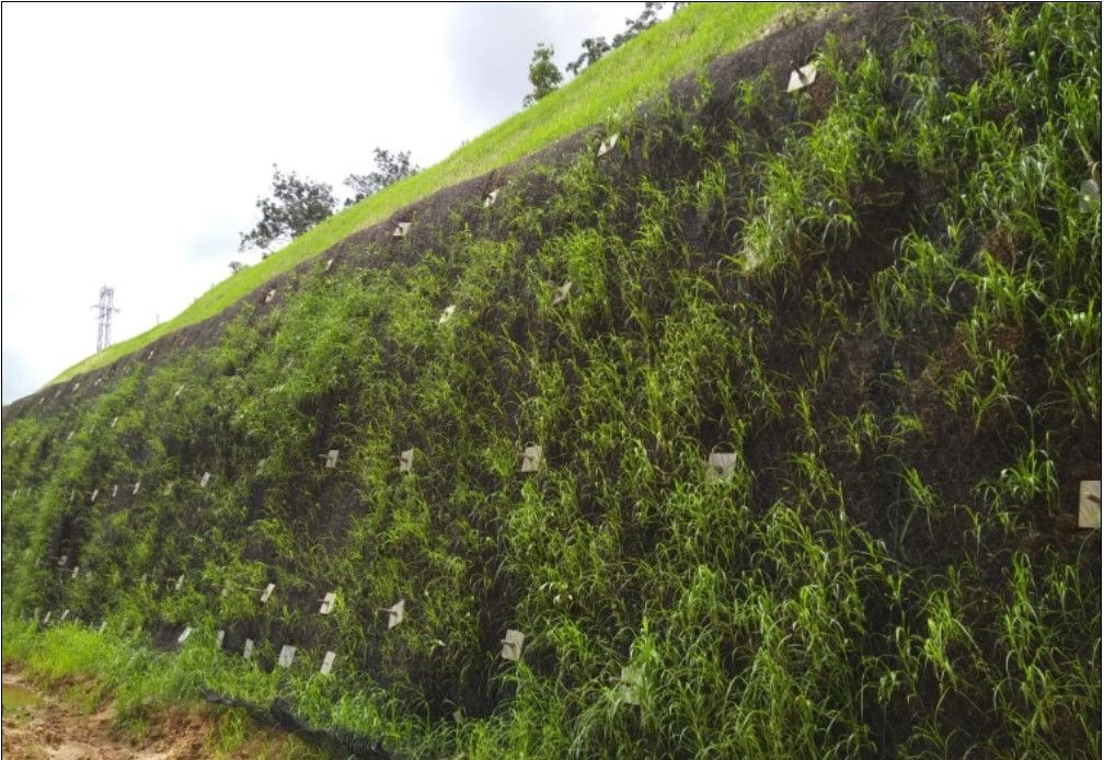 CUT-SLOPE STABILISATION USING SOIL NAILING AT VILLUKURI