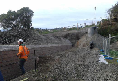 DEFENDER LANE MASS MOVEMENT REMEDIATION