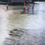 BEACH PROTECTION IN MAURITIUS