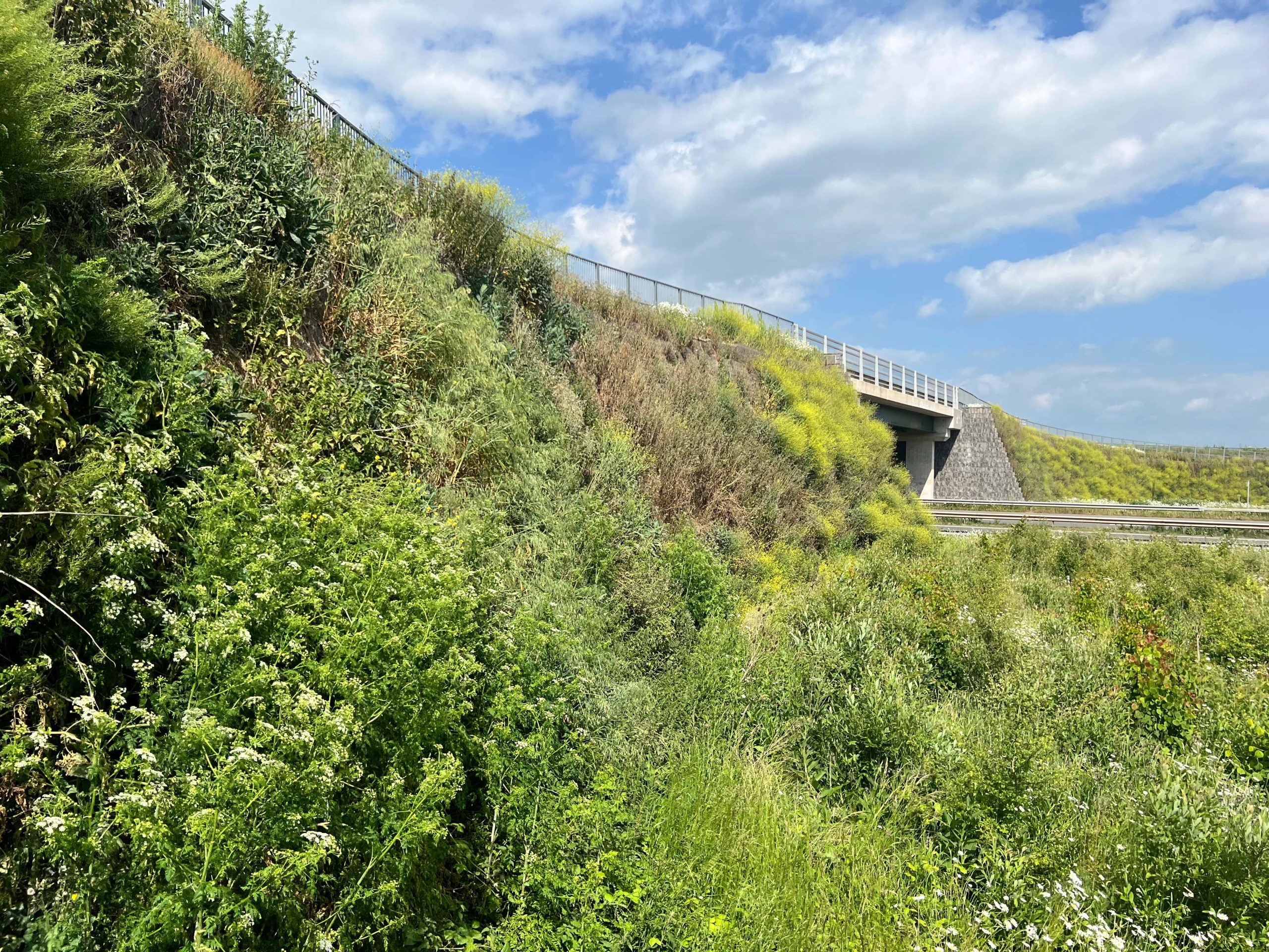 M49 Junction Bristol Ground Improvement and Reinforced Soil Solutions