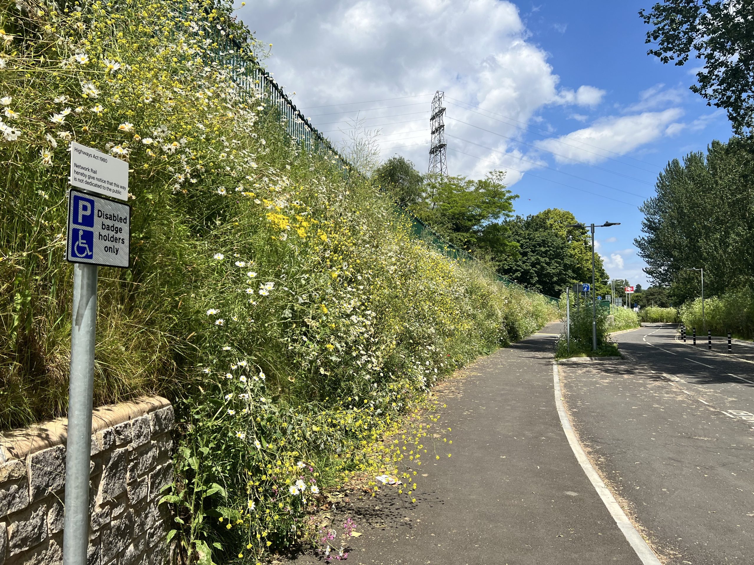 Marsh Barton Railway Station  Vegetated Slope Stabilisation Solution