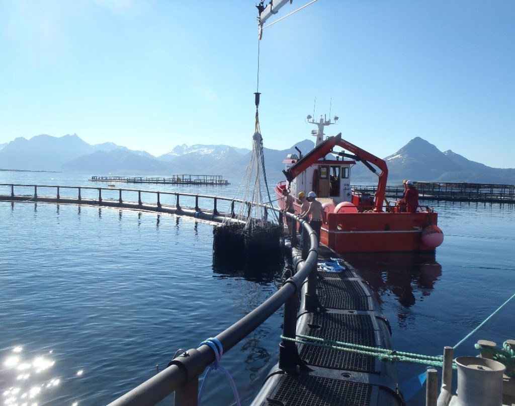 Fish net pens - Maccaferri: Engineering a Better solution