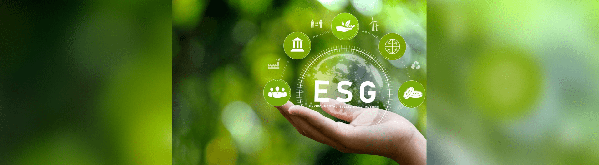 Maccaferri launches an ESG project to measure sustainability performance